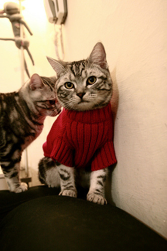 “西甲激烈厮杀，球队士气火热迎冲刺”，西甲loading