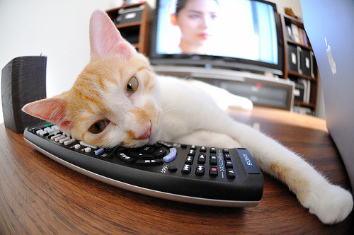 开云体育下载官网-【丁俊晖专访】冠军背后的训练秘密与未来目标，丁俊晖局面专访