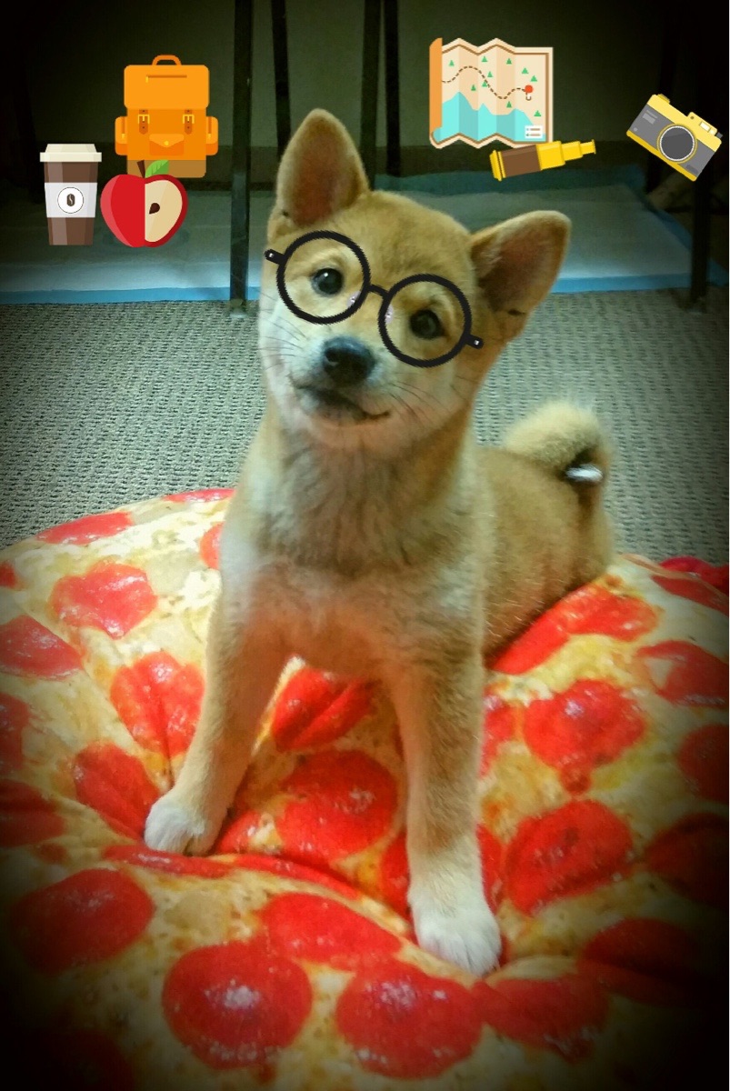 【丁俊晖专访】训练秘诀揭秘:年轻冠军的成长之路,丁俊晖经历介绍