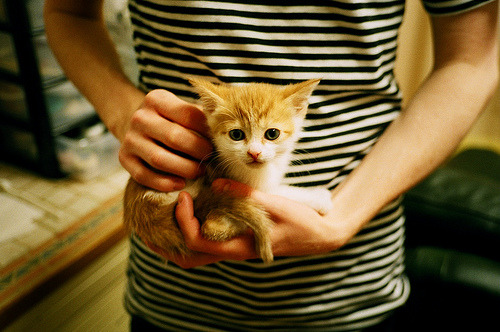 开云APP-未来联盟：引入AI战术分析，提升球队“智商”，未来lol