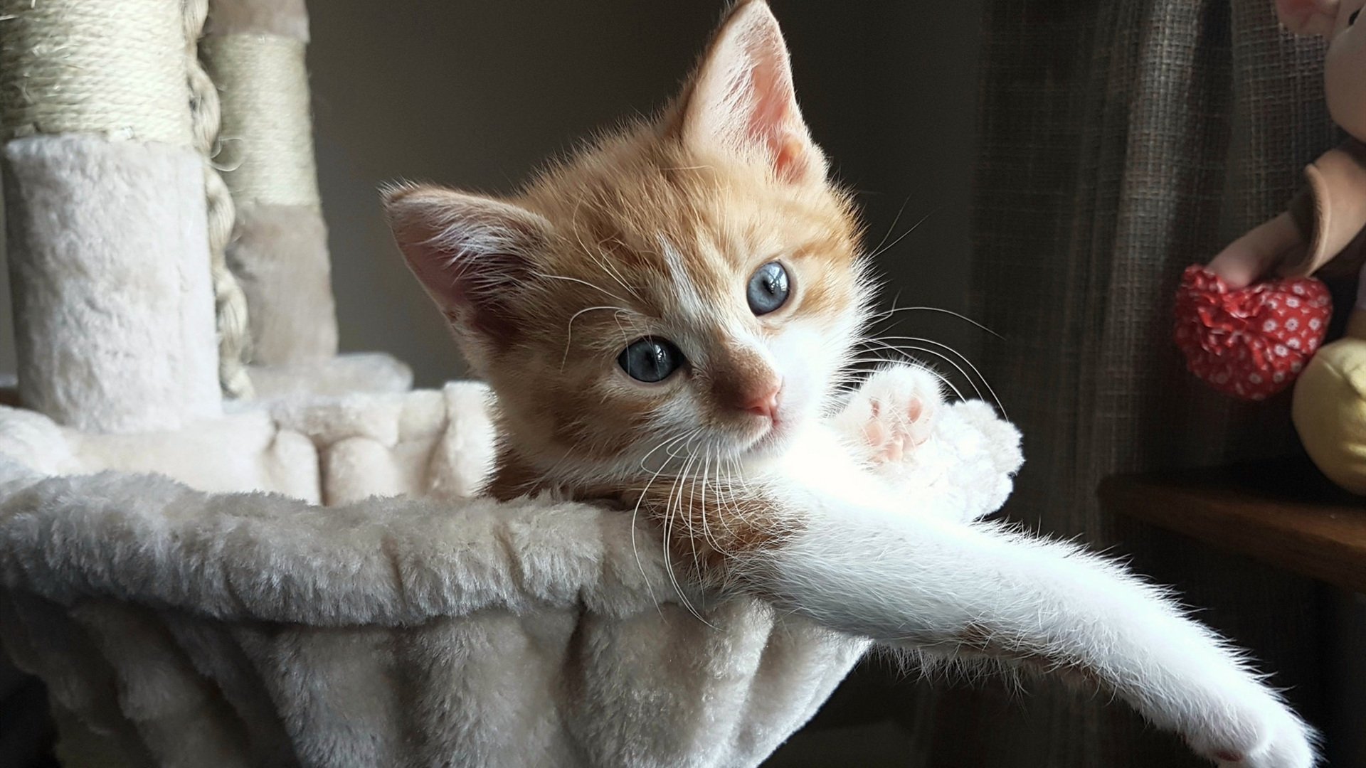 球场“坚不可摧”的防线：冠军的秘密堡垒