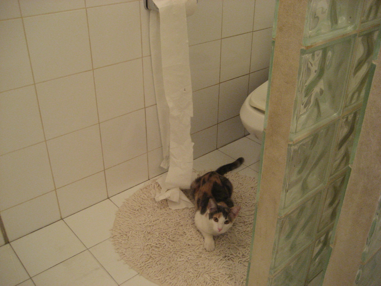 西甲焦点:皇马vs巴萨比赛精彩瞬间集锦,皇马vs巴萨视频集锦