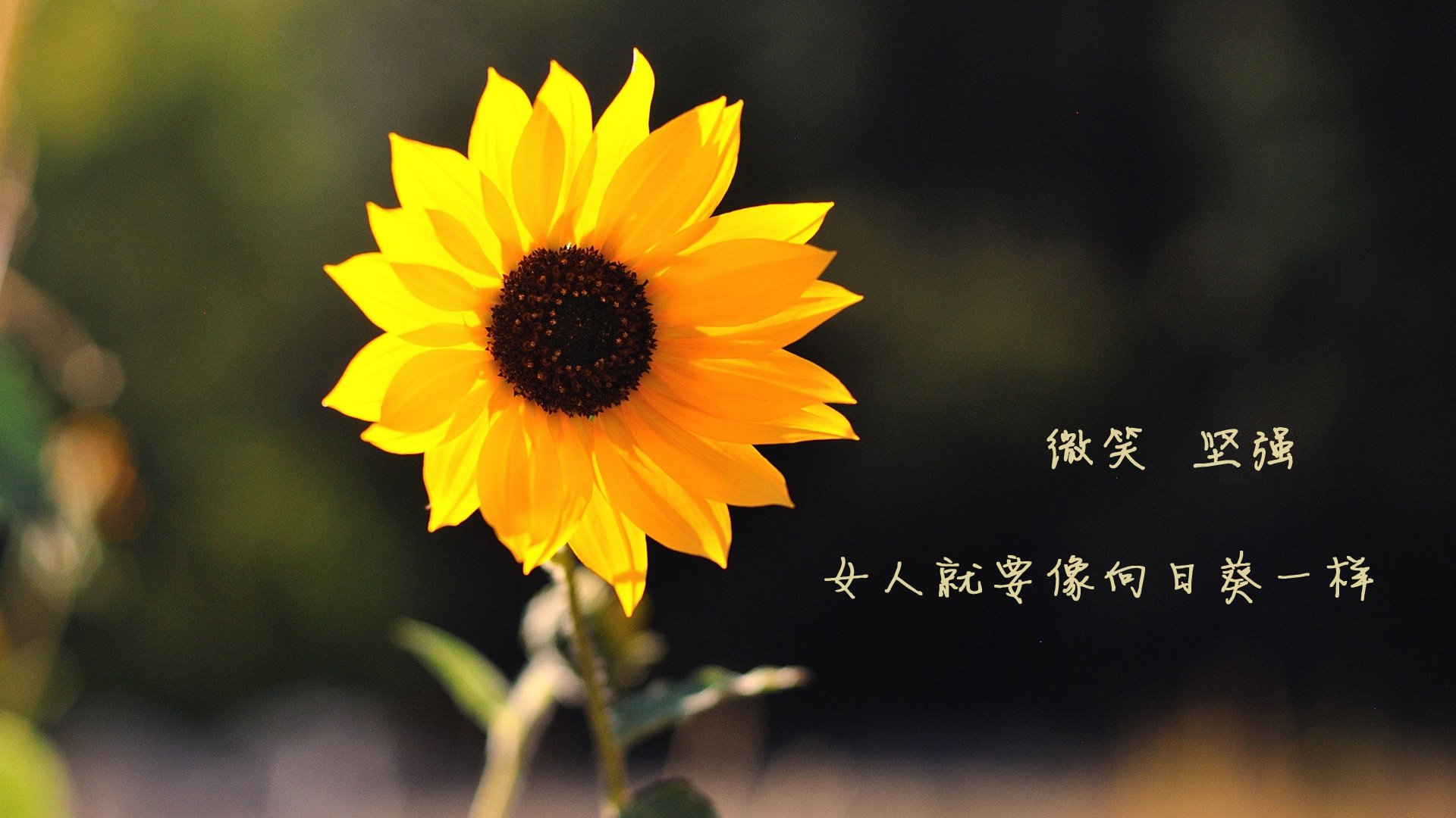 G联赛球员交易引关注，g联赛得分榜