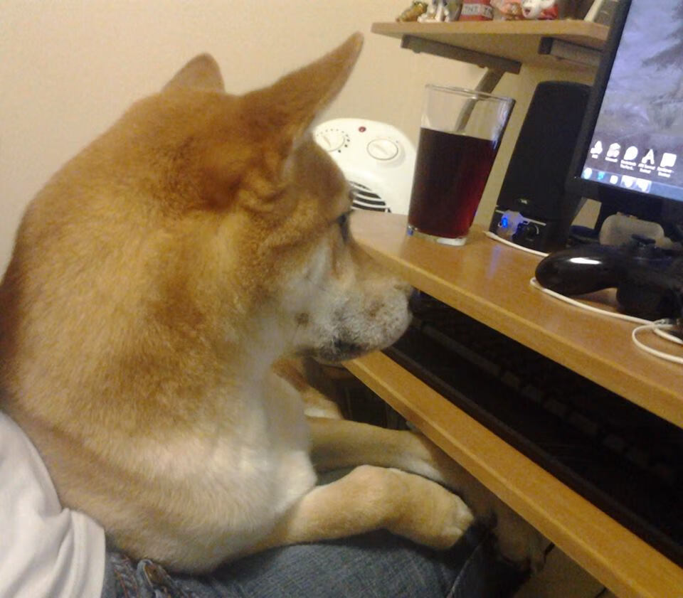 开云体育保障-亚冠联赛中国青年队爆冷 球迷呼吁加强组织纪律，亚青会中国队