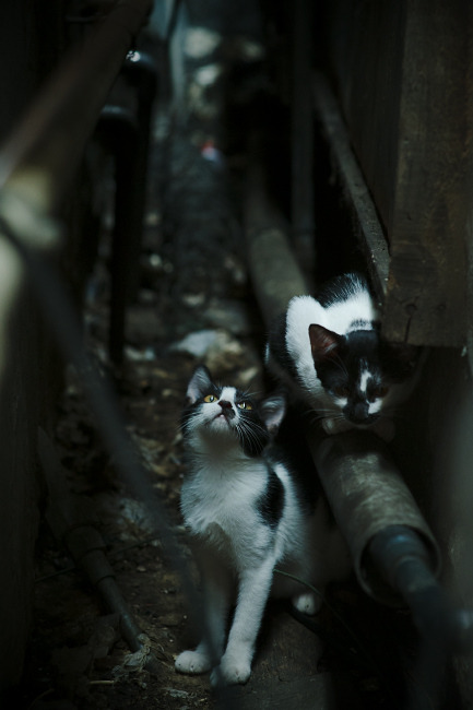 开云APP下载-印度队未来规划：创新青训模式，打造后备人才基地，印度队员